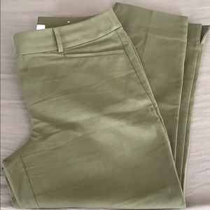 NWOT Loft Curvy Rivera Pant in Green